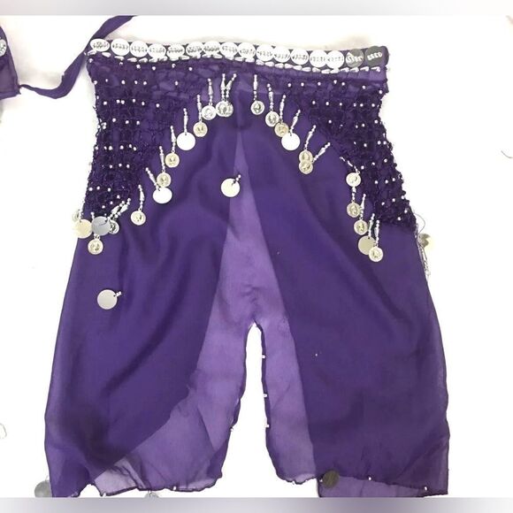 Belly Dancer Girls Toddler 2PC Purple Costume & Silver Dangles SMALL - Picture 4 of 5